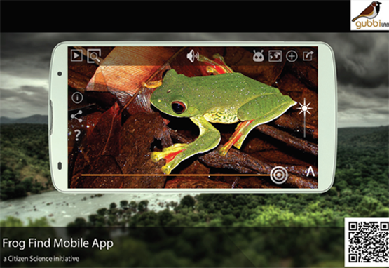 Sustainability programmes for executives